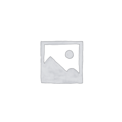 wordpresssecurity1